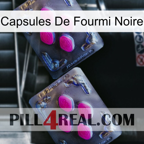 Black Ant Capsules 01.jpg